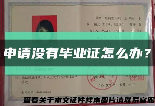 申請沒有畢業證怎么辦？縮略圖
