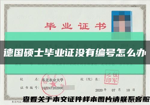 德國碩士畢業證沒有編號怎么辦縮略圖