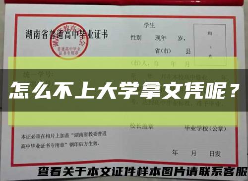 怎么不上大學拿文憑呢？縮略圖