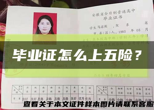 畢業證怎么上五險？縮略圖
