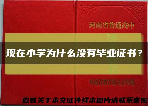 現在小學為什么沒有畢業證書？縮略圖
