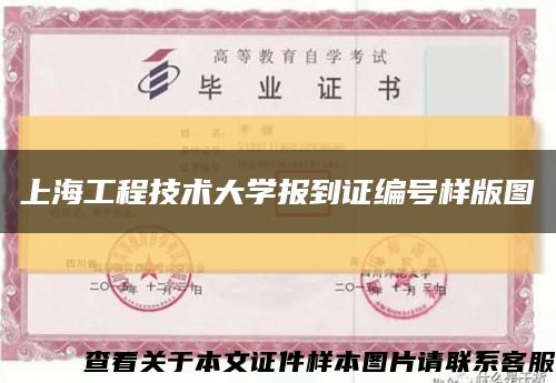 上海工程技術大學報到證編號樣版圖縮略圖