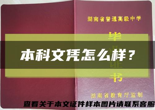 本科文憑怎么樣？縮略圖