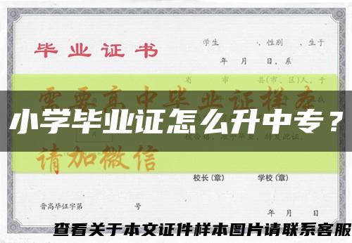 小學畢業證怎么升中專？縮略圖