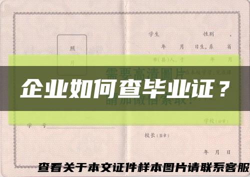 企業如何查畢業證？縮略圖
