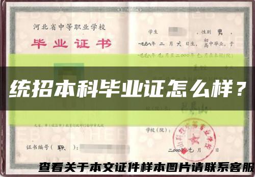 統招本科畢業證怎么樣？縮略圖