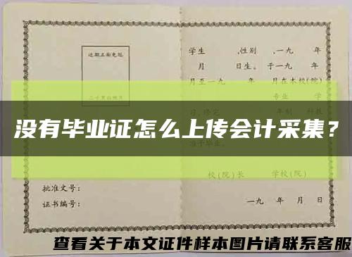 沒有畢業證怎么上傳會計采集？縮略圖