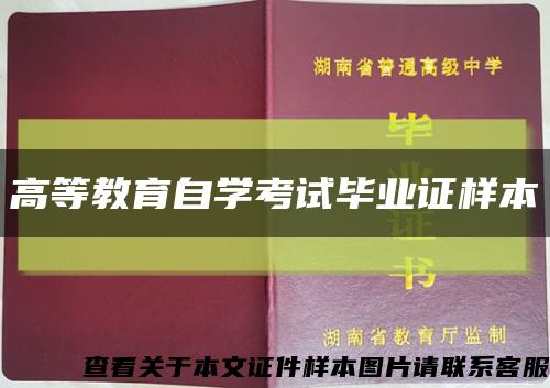 高等教育自學考試畢業證樣本縮略圖