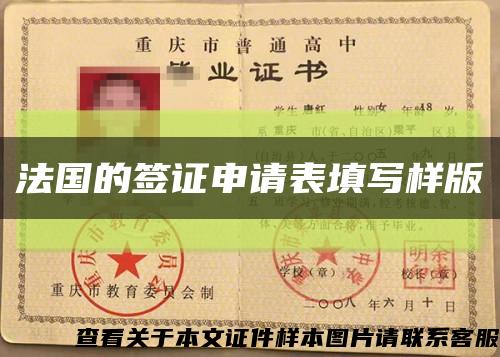 法國的簽證申請表填寫樣版縮略圖