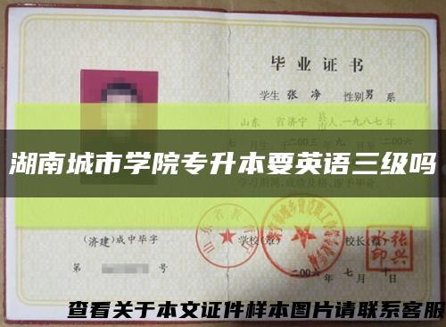 湖南城市學院專升本要英語三級嗎縮略圖