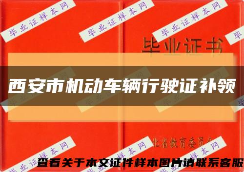 西安市機動車輛行駛證補領縮略圖