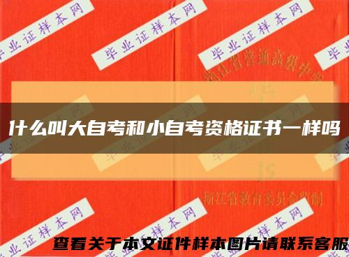 什么叫大自考和小自考資格證書一樣嗎縮略圖