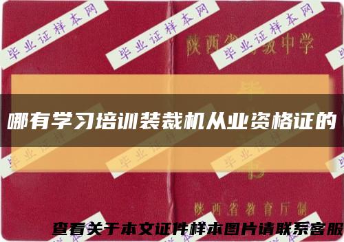 哪有學習培訓裝裁機從業資格證的縮略圖