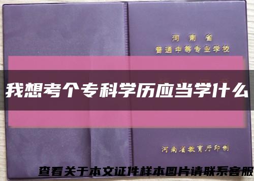 我想考個?？茖W歷應當學什么縮略圖