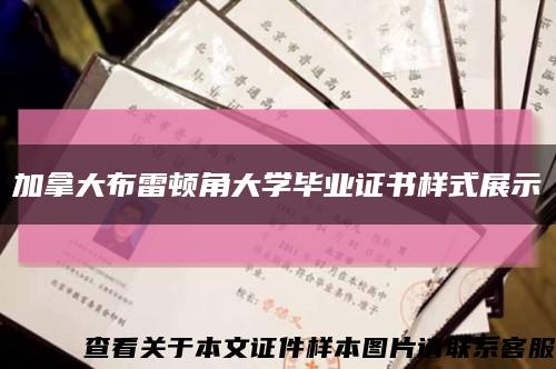 加拿大布雷頓角大學畢業證書樣式展示縮略圖
