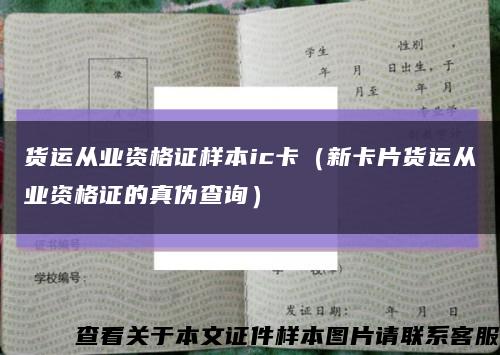 貨運從業資格證樣本ic卡（新卡片貨運從業資格證的真偽查詢）縮略圖