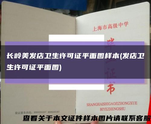 長嶺美發店衛生許可證平面圖樣本(發店衛生許可證平面圖)縮略圖