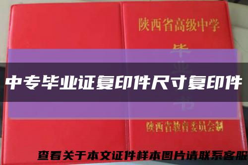 中專畢業證復印件尺寸復印件縮略圖