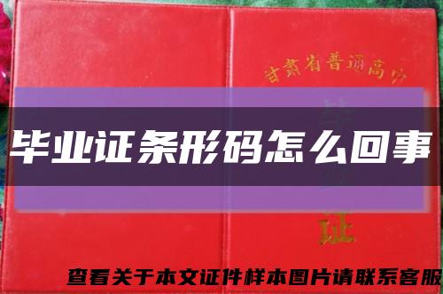 畢業證條形碼怎么回事縮略圖