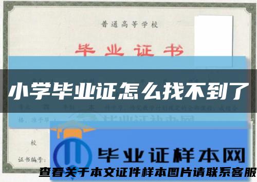 小學畢業證怎么找不到了縮略圖