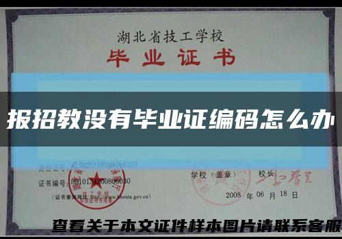 報招教沒有畢業證編碼怎么辦縮略圖