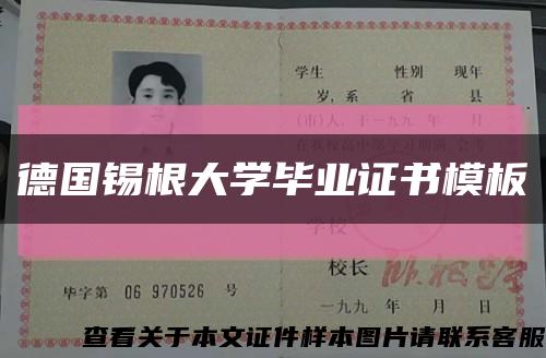 德國錫根大學畢業證書模板縮略圖