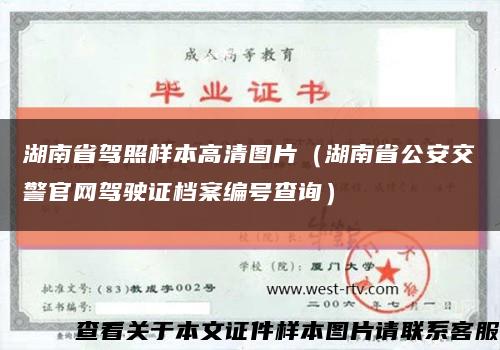 湖南省駕照樣本高清圖片（湖南省公安交警官網駕駛證檔案編號查詢）縮略圖