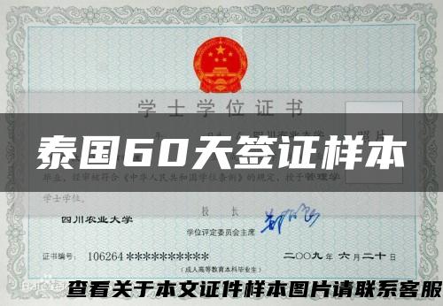 泰國60天簽證樣本縮略圖