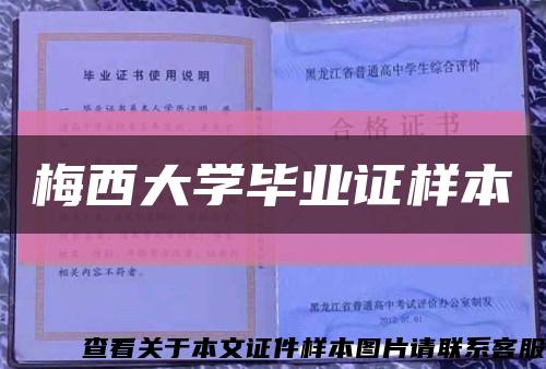 梅西大學畢業證樣本縮略圖