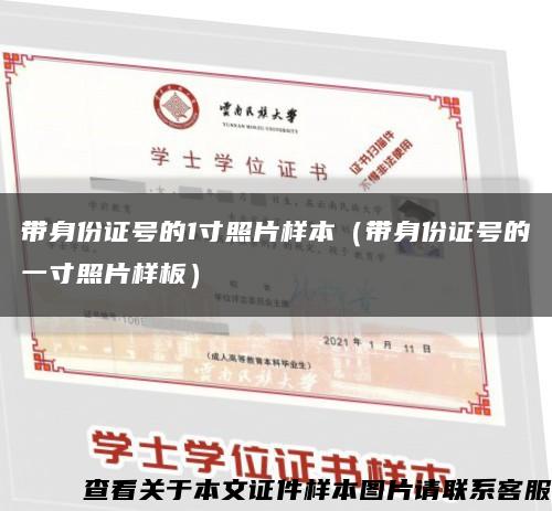 帶身份證號的1寸照片樣本（帶身份證號的一寸照片樣板）縮略圖