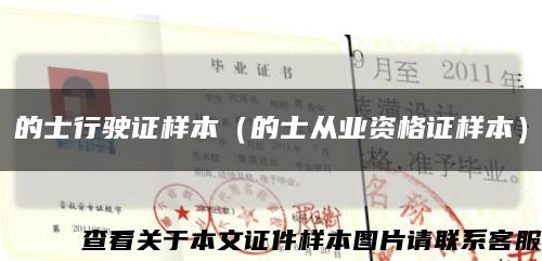 的士行駛證樣本（的士從業資格證樣本）縮略圖