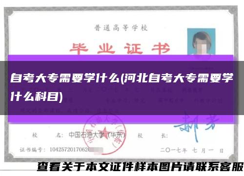 自考大專需要學什么(河北自考大專需要學什么科目)縮略圖