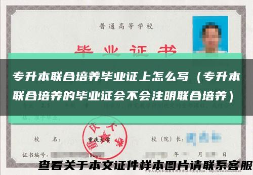 專升本聯合培養畢業證上怎么寫（專升本聯合培養的畢業證會不會注明聯合培養）縮略圖