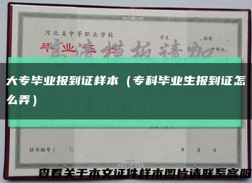 大專畢業報到證樣本（?？飘厴I生報到證怎么弄）縮略圖