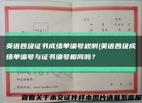 英語四級證書成績單編號規則(英語四級成績單編號與證書編號相同嗎？縮略圖