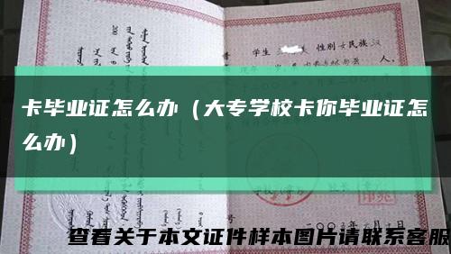 卡畢業證怎么辦（大專學?？惝厴I證怎么辦）縮略圖