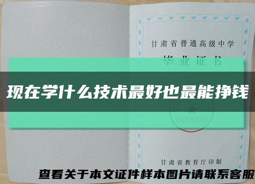 現在學什么技術最好也最能掙錢縮略圖