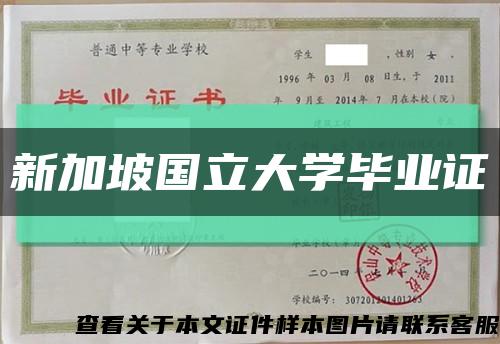 新加坡國立大學畢業證縮略圖