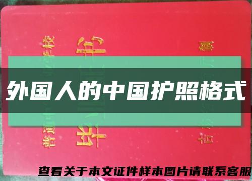 外國人的中國護照格式縮略圖