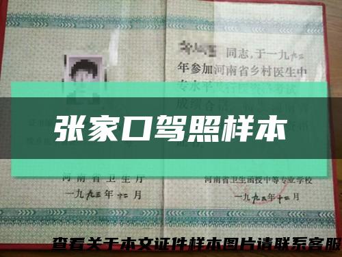 張家口駕照樣本縮略圖