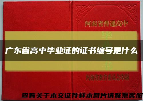 廣東省高中畢業證的證書編號是什么縮略圖
