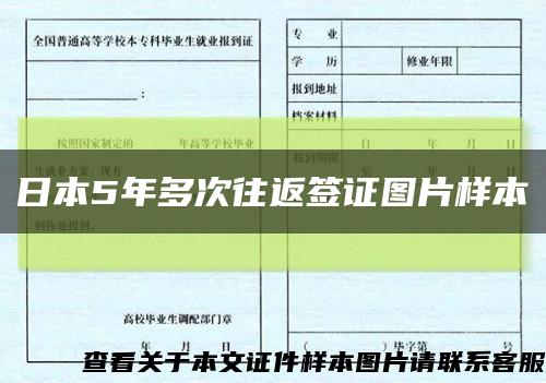 日本5年多次往返簽證圖片樣本縮略圖