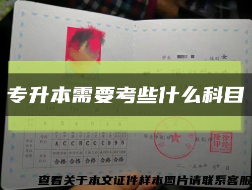 專升本需要考些什么科目縮略圖