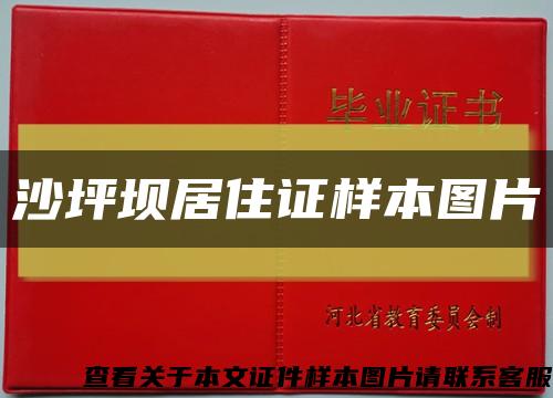 沙坪壩居住證樣本圖片縮略圖