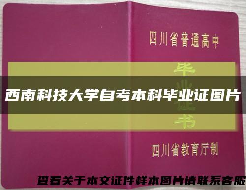 西南科技大學自考本科畢業證圖片縮略圖