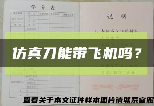 仿真刀能帶飛機嗎？縮略圖