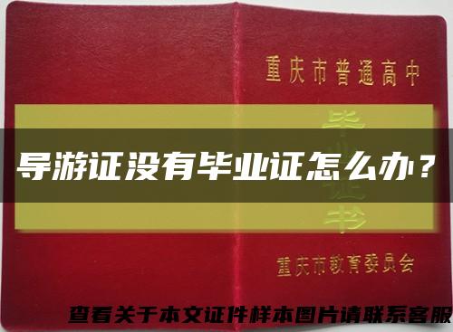 導游證沒有畢業證怎么辦？縮略圖