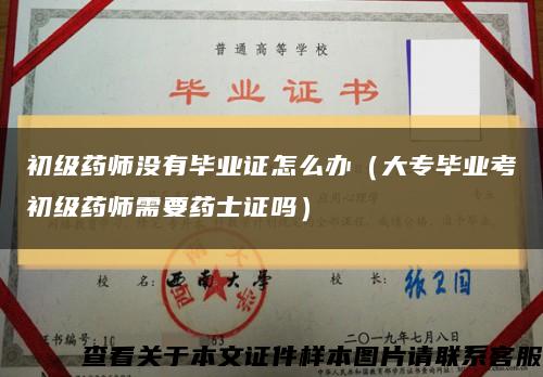 初級藥師沒有畢業證怎么辦（大專畢業考初級藥師需要藥士證嗎）縮略圖