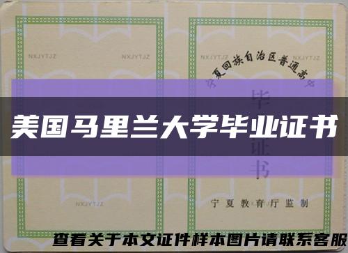 美國馬里蘭大學畢業證書縮略圖
