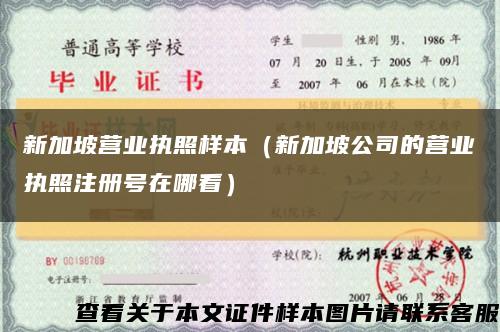 新加坡營業執照樣本（新加坡公司的營業執照注冊號在哪看）縮略圖
